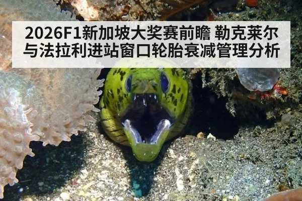 2026F1新加坡大奖赛前瞻 勒克莱尔与法拉利进站窗口轮胎衰减管理分析
